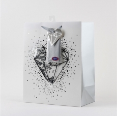 premium gift bag