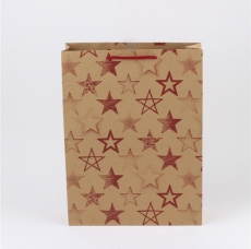 Craft paper bag