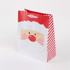 Christmas bag