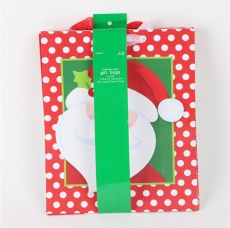 Christmas bag