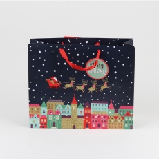 Christmas bag